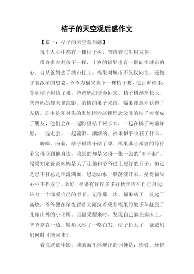 桔子的天空观后感作文.docx