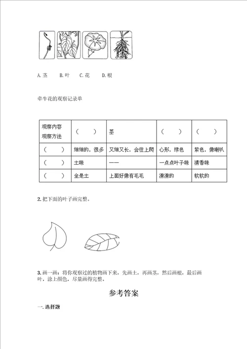 教科版科学一年级上册第一单元植物测试卷附答案考试直接用