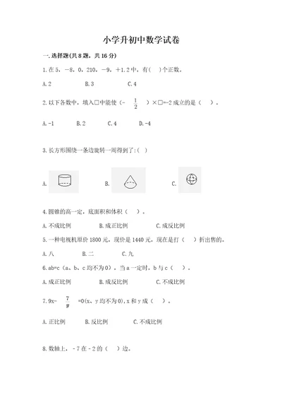 小学升初中数学试卷（夺冠）wod版