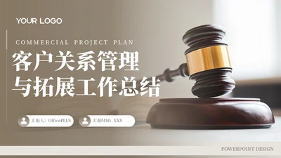棕色客户关系管理与拓展工作总结