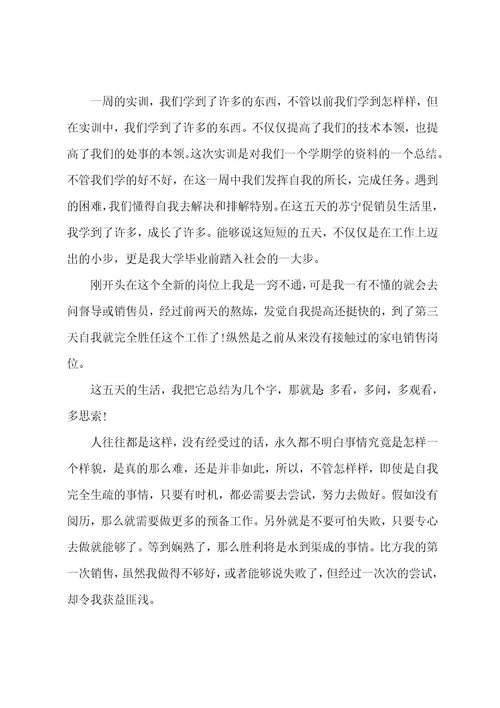 超市实践个人总结(3篇)
