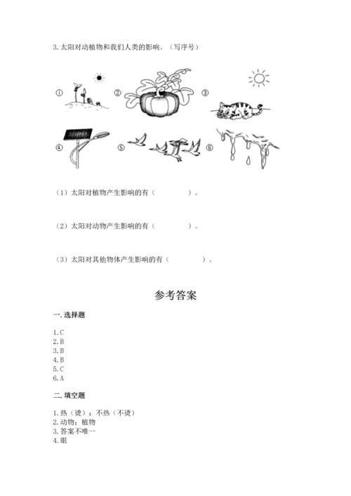 教科版二年级上册科学期末测试卷新版.docx