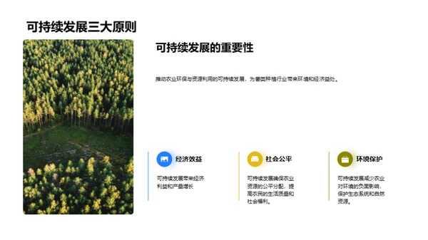 绿色薯种：环保农业