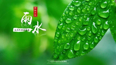 春天雨水绿叶晨露二十四节气通用PPT课件