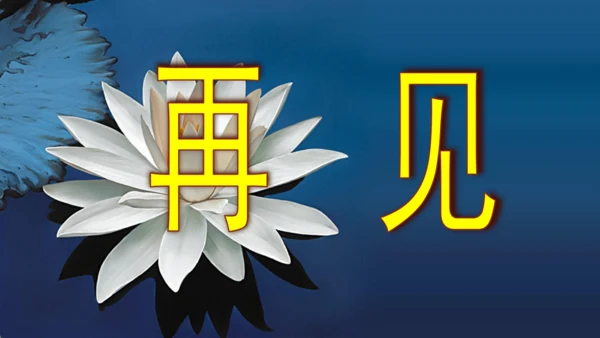 第3课《统一》精品实用高效课件(共14张PPT)