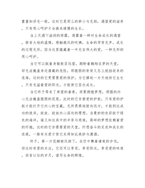 2023年自由与生命议论文,菁选3篇.docx