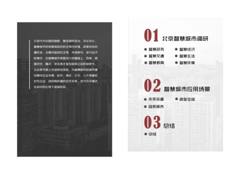 北京智慧城市建设情况报告.docx