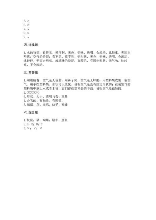 教科版一年级下册科学期末测试卷精品【名校卷】.docx