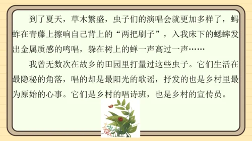 统编版语文四年级上册主题四　最美乡村 阅读与写作指导课件