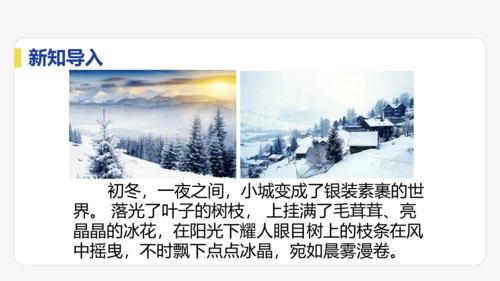 3.1   温度   课件