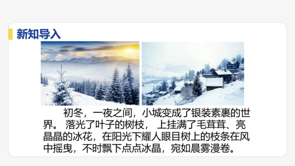 3.1   温度   课件