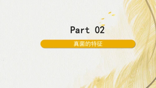 人教版（2024）七年级上册2.3.3真菌(共27张PPT)+视频素材