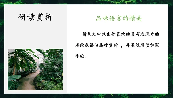 地下森林作家张抗抗作品解读PPT课件
