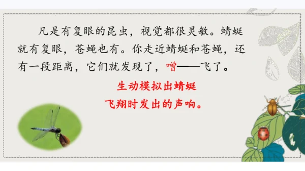 4昆虫备忘录   课件