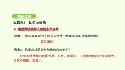 第四单元-第四章-第一节-流动的组织——血液课件-2024-2025学年七年级生物下学期人教版(20