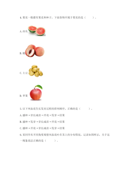 科学四年级下册第一单元《植物的生长变化》测试卷【考点精练】.docx