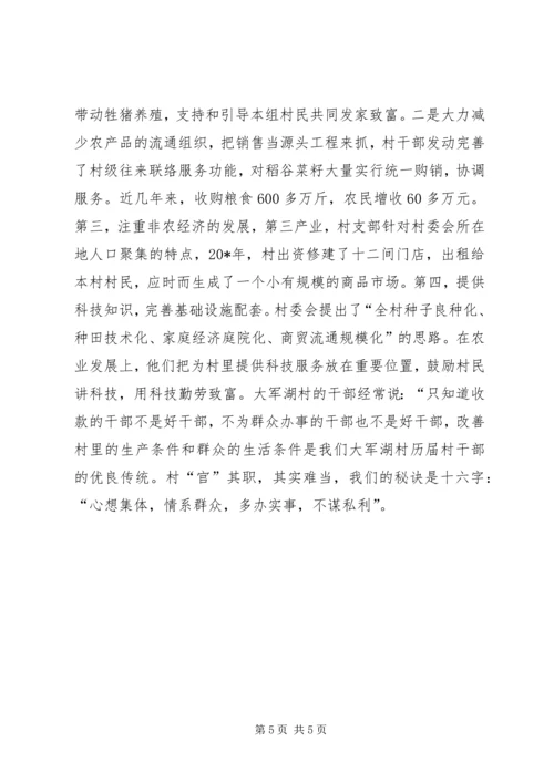 村党支部的事迹材料.docx