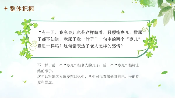 枣儿人教部编版九年级语文PPT课件语文九年级下册