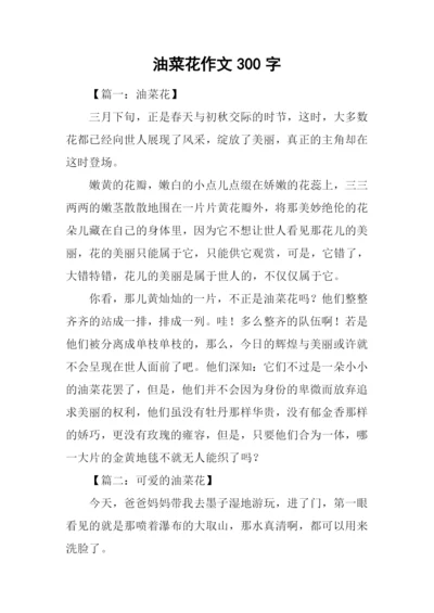 油菜花作文300字.docx