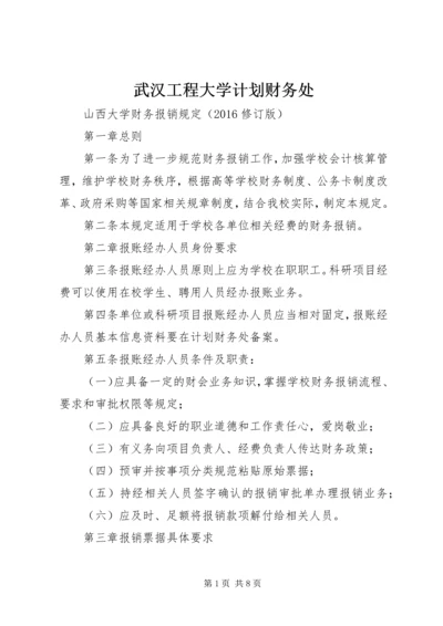武汉工程大学计划财务处 (4).docx