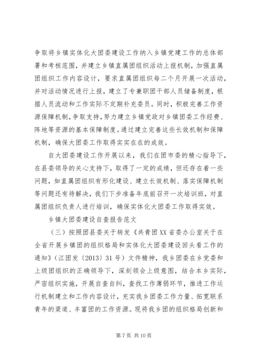 乡镇大团委建设自查报告某年.docx