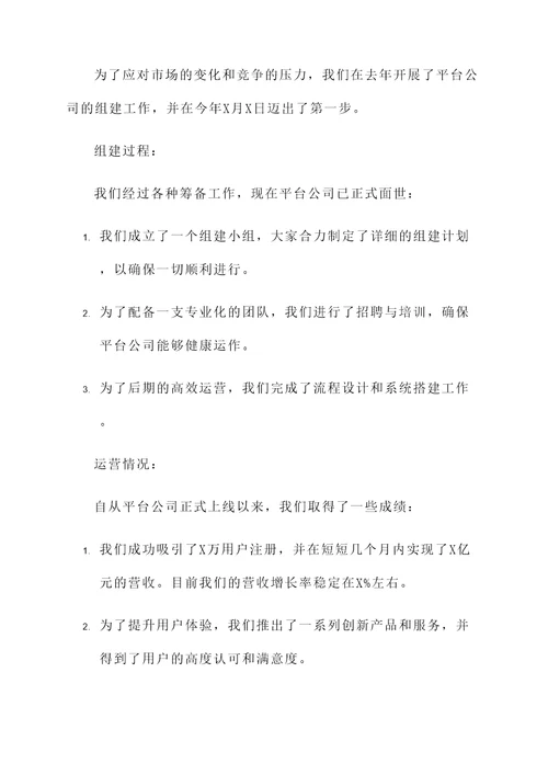 关于平台公司组建运营情况汇报