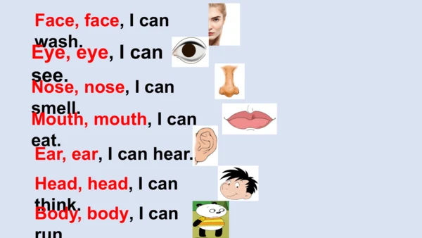 外研版一起一下Module4 Unit1 This is my head 课件