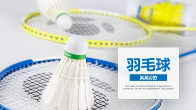体育竞赛活动羽毛球运动羽神争霸PPT模板