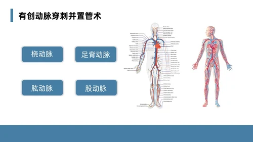 蓝色简约风课件急诊科规范化培训培训课件PPT模板业务培训