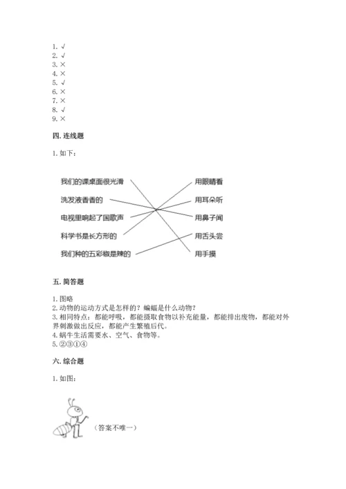 教科版一年级下册科学期末测试卷精华版.docx