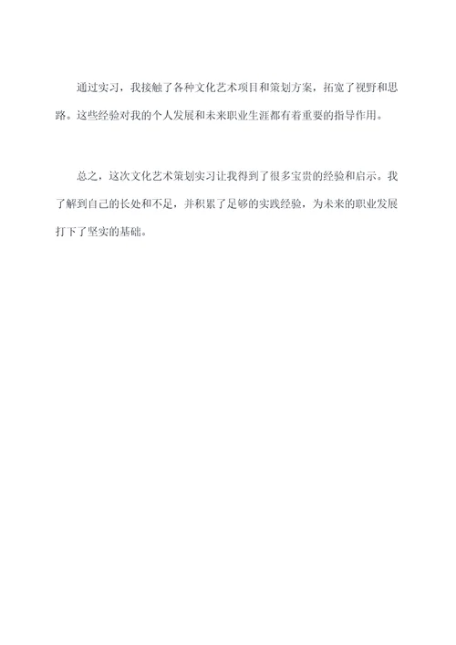 文化艺术策划实习报告