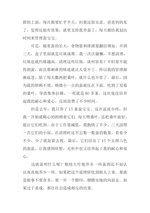 关于养蚕的作文.docx