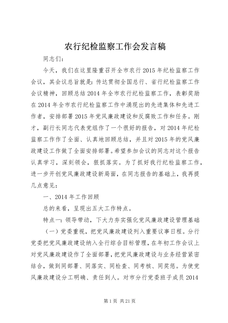 农行纪检监察工作会发言稿.docx