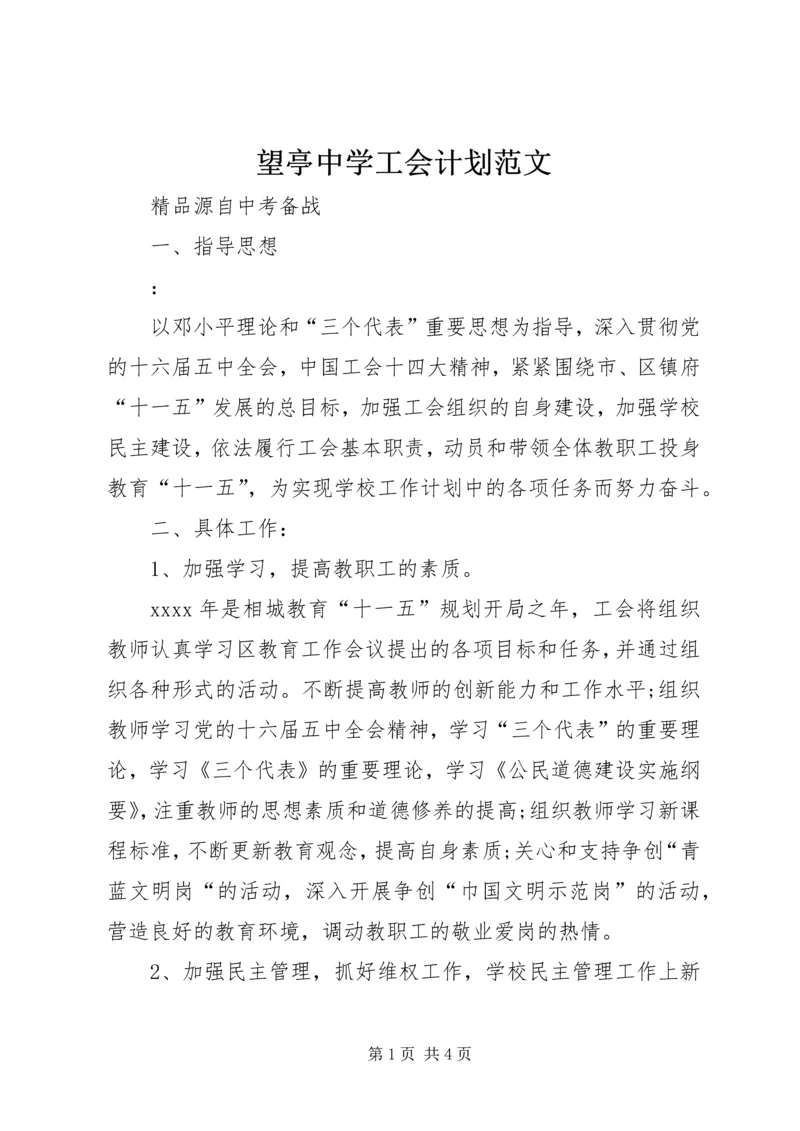 望亭中学工会计划范文 (2).docx