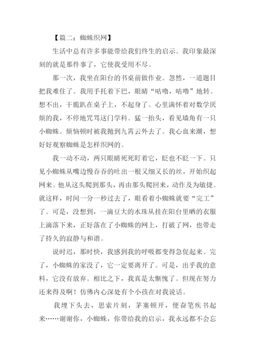 蜘蛛织网作文500字.docx