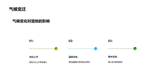 湿地保护与生态平衡