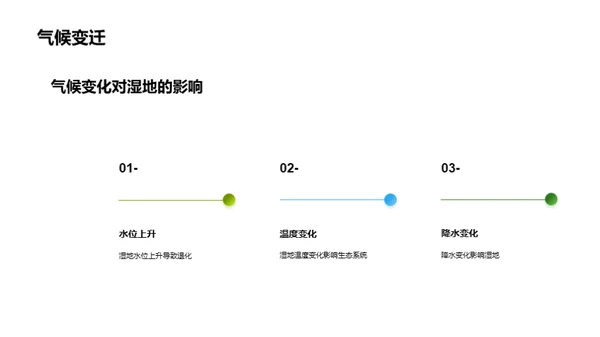 湿地保护与生态平衡