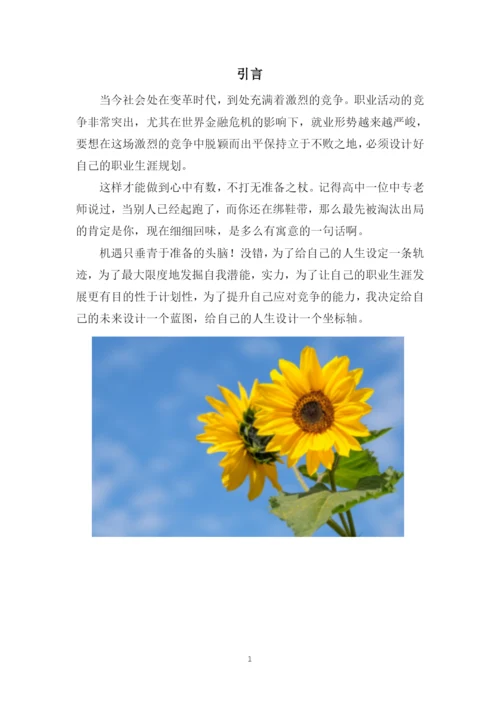 13页4300字管理科学与工程专业职业生涯规划.docx