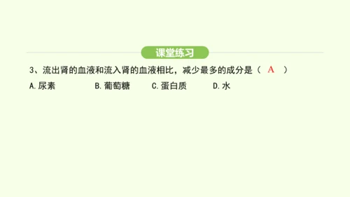 第四单元-第五章-人体内废物的排出课件-2024-2025学年七年级生物下学期人教版(2024)(共