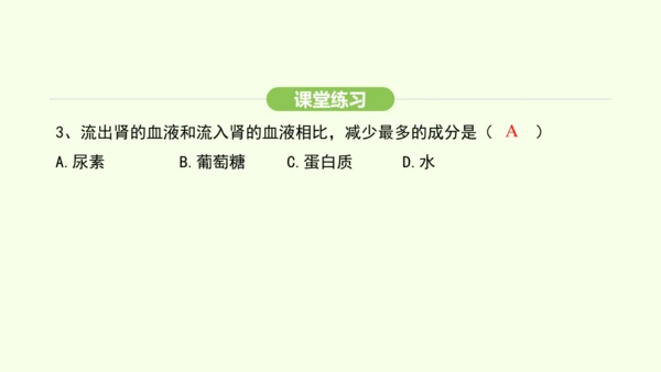 第四单元-第五章-人体内废物的排出课件-2024-2025学年七年级生物下学期人教版(2024)(共