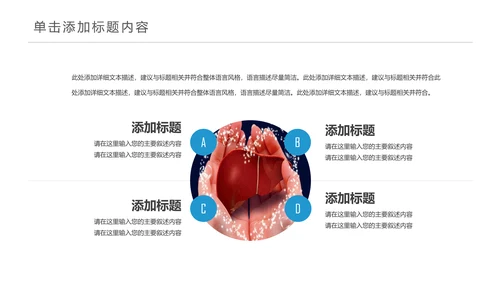 医疗医学人体肝脏解析ppt动态模板
