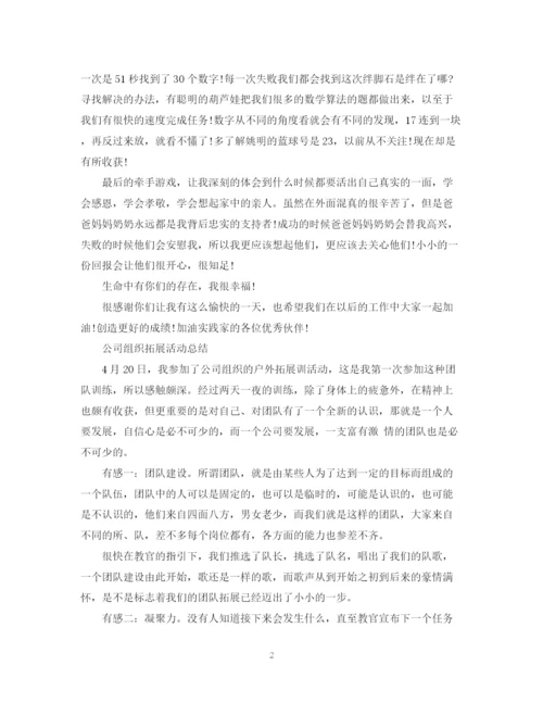 精编之公司组织拓展活动总结范文.docx