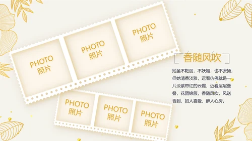 复古欧式电子相册动态PPT模板封含