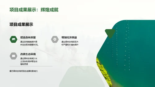 破壁前行：森林改培新篇章