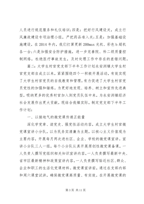 某乡镇党支部下半年工作计划.docx