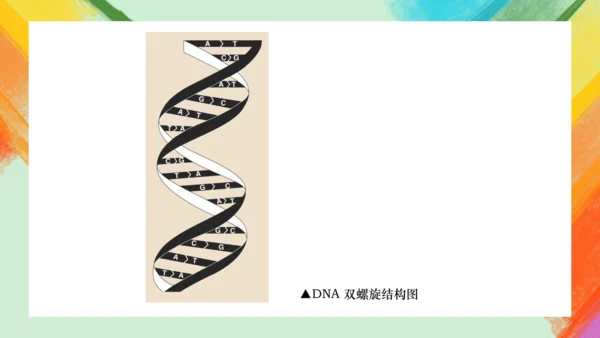 第2课《手绘线条图像——会说话的图画》课件（共26页）