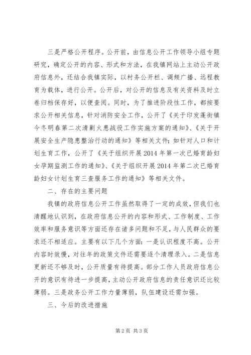 乡镇某年度信息公开工作总结.docx