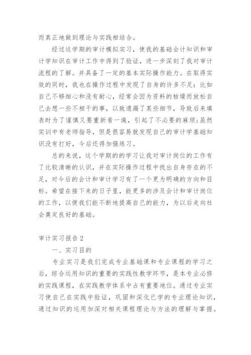 审计实习报告_5.docx