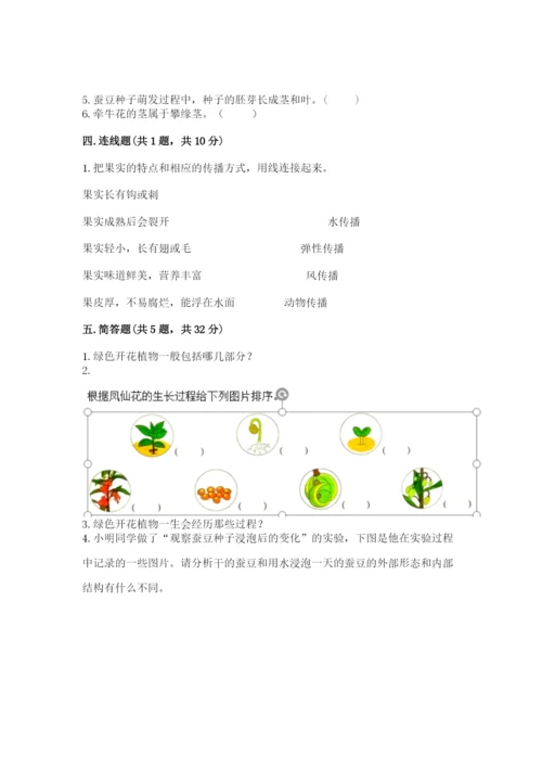 科学四年级下册第一单元《植物的生长变化》测试卷精编.docx