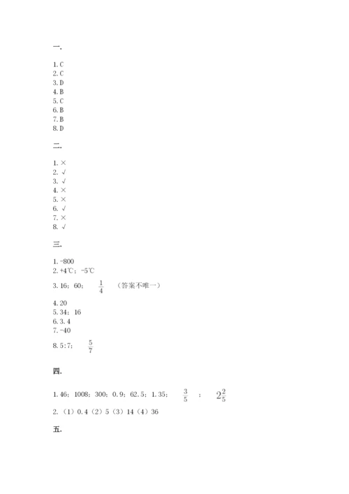 苏教版六年级数学小升初试卷含完整答案（典优）.docx
